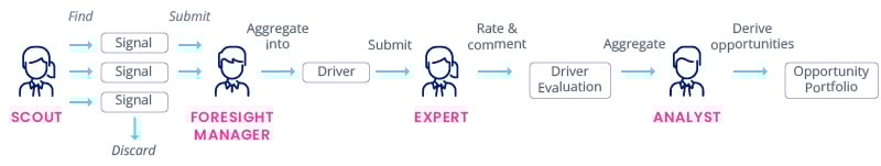 Roles in an Environmental Scanning Team